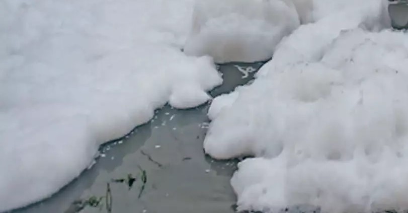 Indian River Covered with Toxic Foam