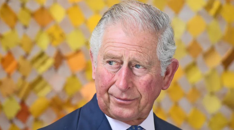 King Charles III Doesn't Want Prince Harry and Prince Andrew to Stand in for Him